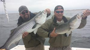 Click to view album: Monomoy Fishing Charters